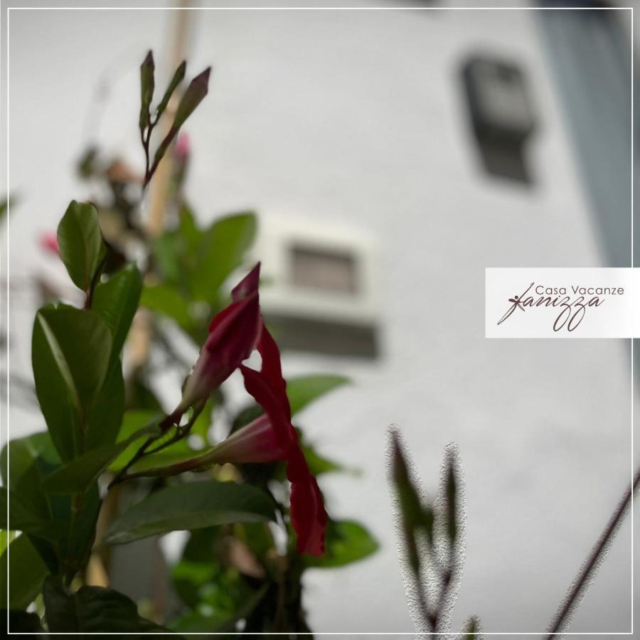 Sofia Stone House Affittacamere Alberobello Dış mekan fotoğraf